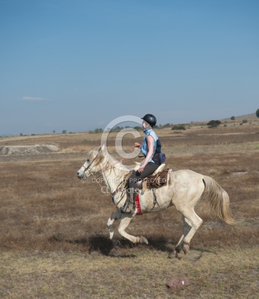 Galloping on the Trail