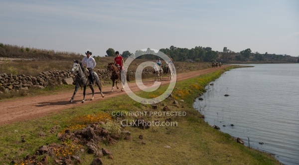 Galloping on the Trail