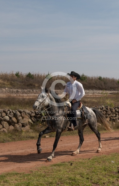 Galloping on the Trail