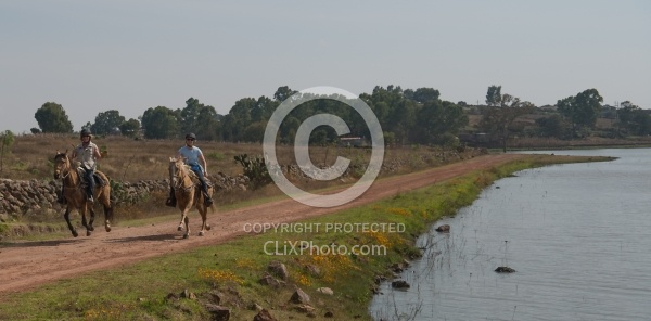 Galloping on the Trail