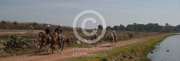 Galloping on the Trail