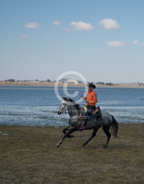 Galloping on the Trail