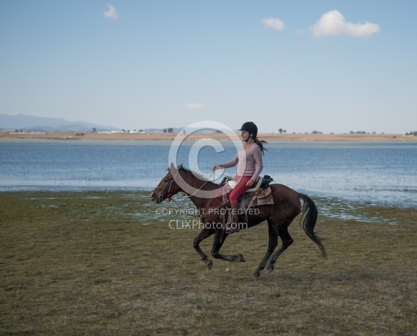 Galloping on the Trail