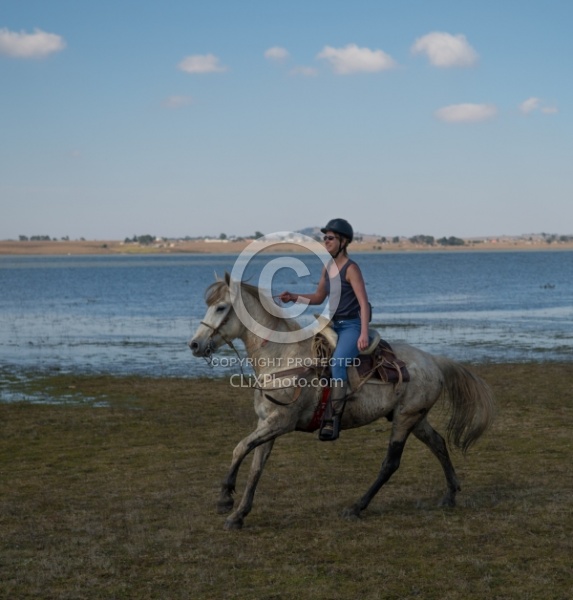 Galloping on the Trail