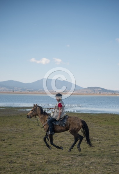 Galloping on the Trail