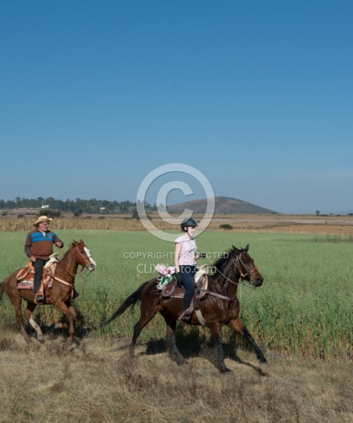 Galloping on the Trail