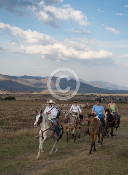 Galloping on the Trail