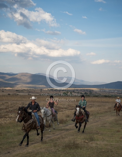 Galloping on the Trail