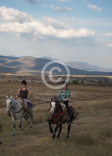 Galloping on the Trail
