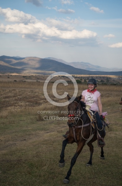 Galloping on the Trail