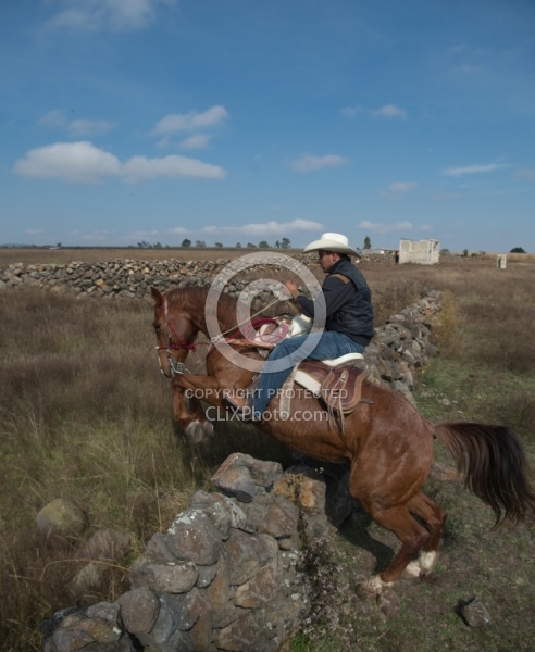 Jumping Stone Wall in Mexico