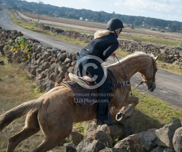 Jumping Stone Wall in Mexico