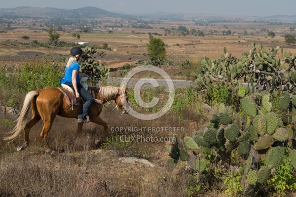 On the Trail at Las Cascadas