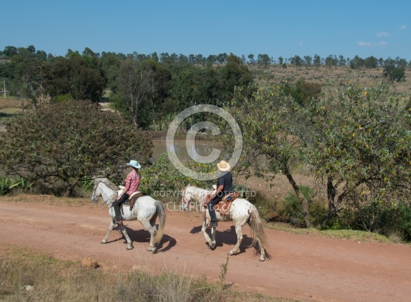 On the Trail at Las Cascadas