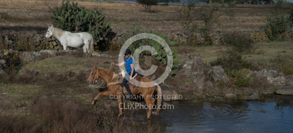 On the Trail at Las Cascadas