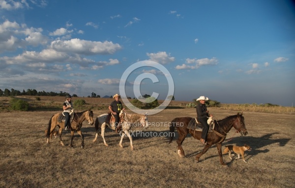 On the Trail at Las Cascadas