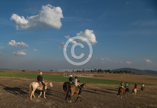 On the Trail at Las Cascadas