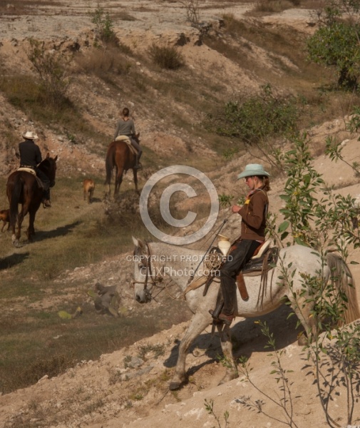 On the Trail at Las Cascadas