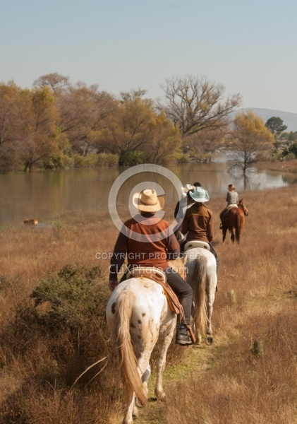 On the Trail at Las Cascadas
