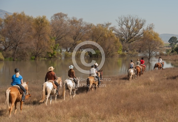 On the Trail at Las Cascadas
