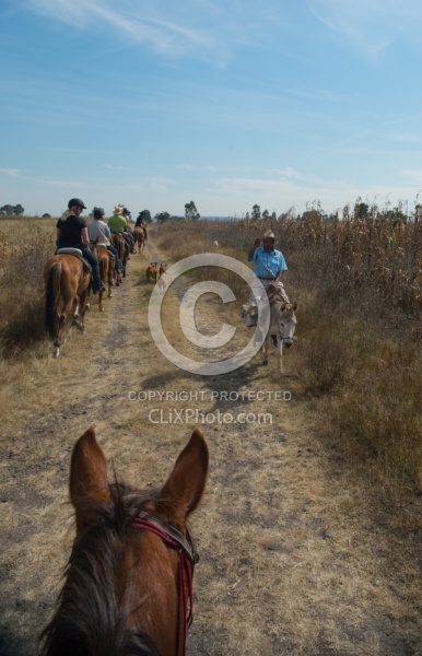 On the Trail at Las Cascades