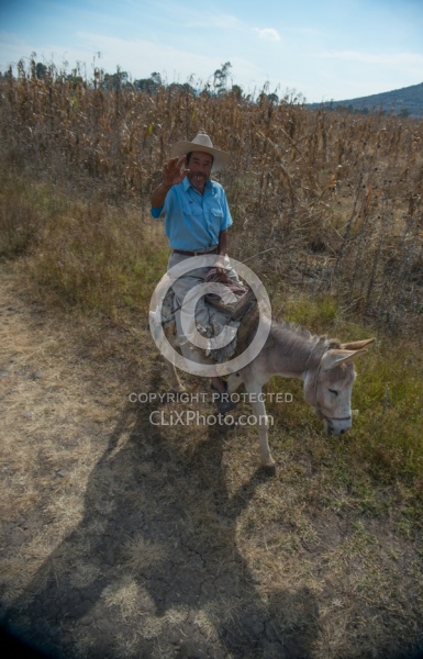 On the Trail at Las Cascades