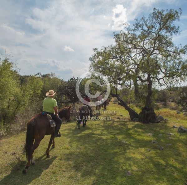 On the Trail at Las Cascades