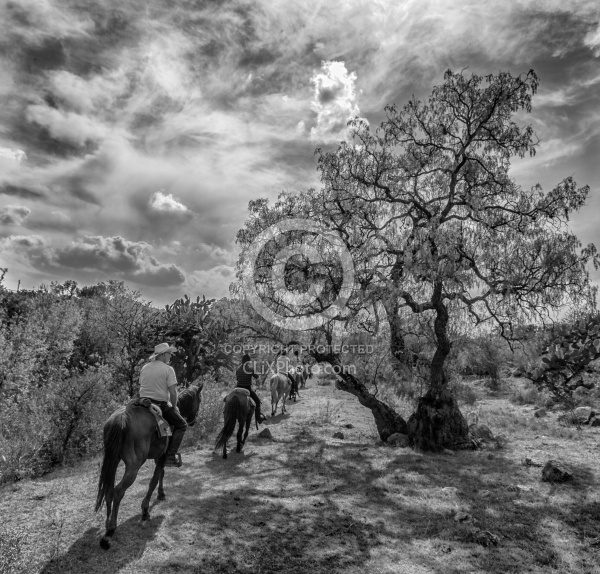 On the Trail at Las Cascades