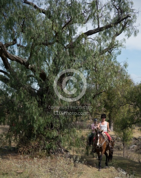 On the Trail at Las Cascades