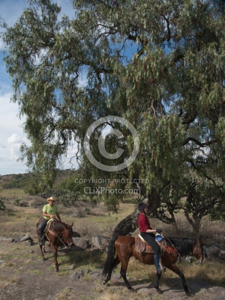 On the Trail at Las Cascades