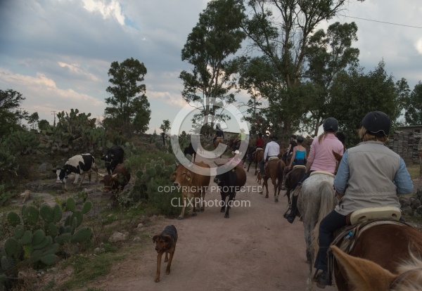 On the Trail at Las Cascades