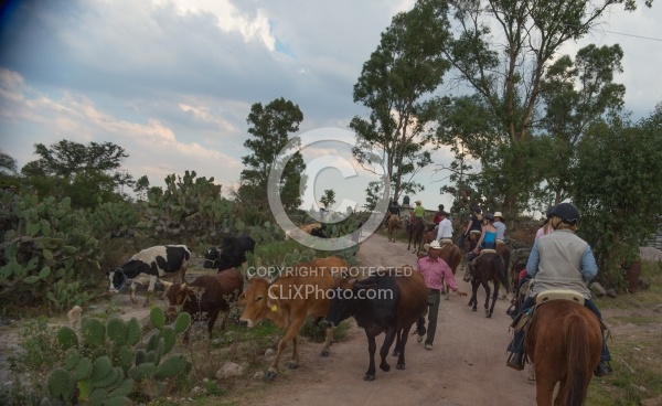 On the Trail at Las Cascades