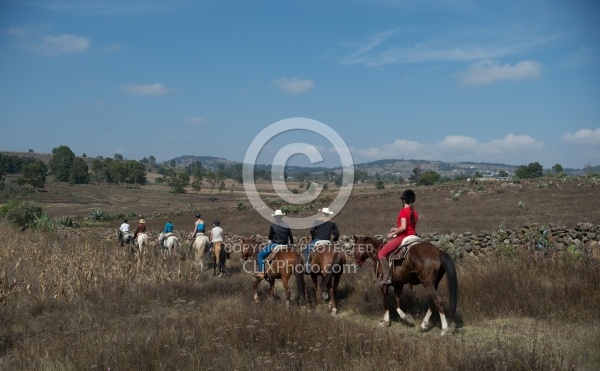 On the Trail at Las Cascades