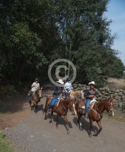 On the Trail at Las Cascades