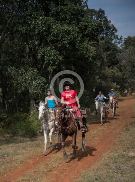 On the Trail at Las Cascades