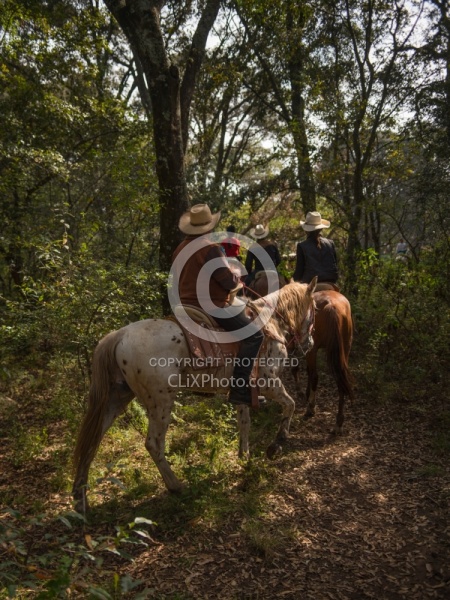 On the Trail at Las Cascades