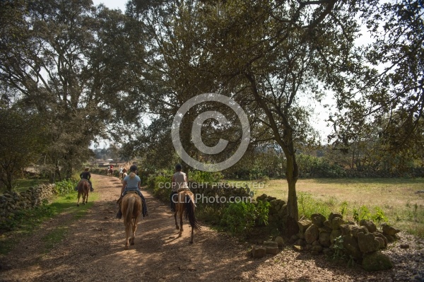On the Trail at Las Cascades
