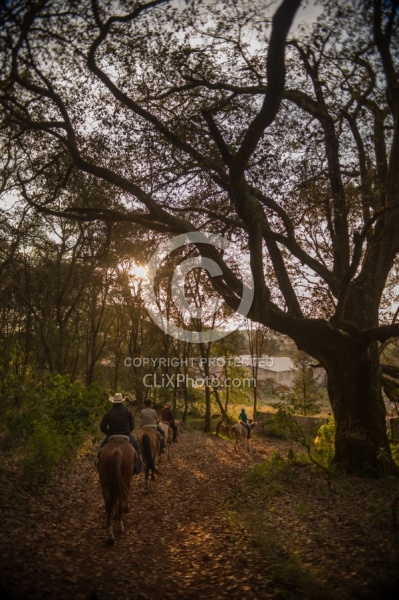 On the Trail at Las Cascades