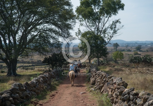 On the Trail at Las Cascades