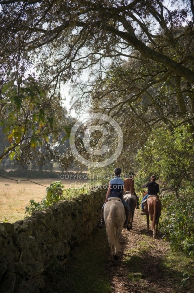 On the Trail at Las Cascades