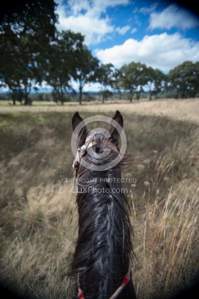 On the Trail at Las Cascades