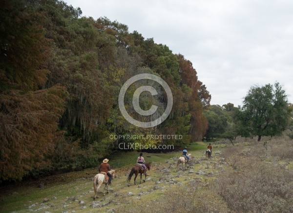 On the Trail at Las Cascades