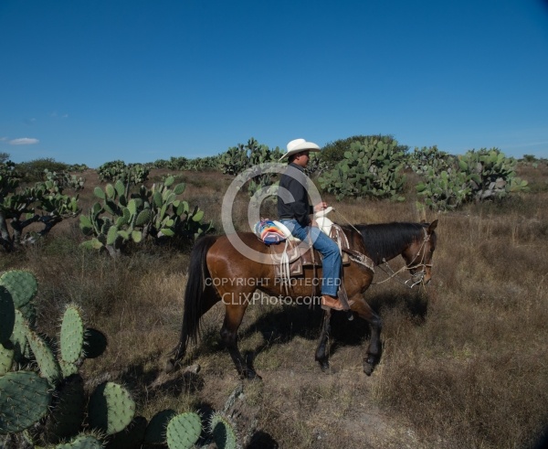 On the Trail at Las Cascades