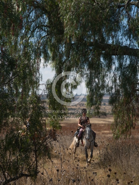On the Trail at Las Cascades