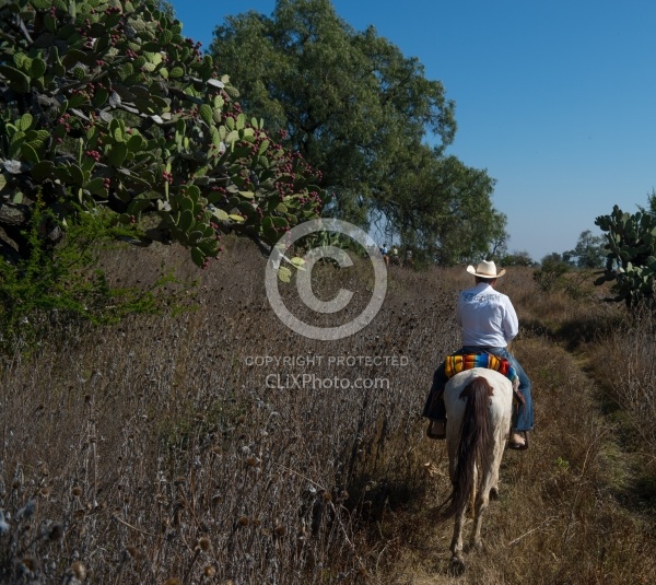 On the Trail at Las Cascades