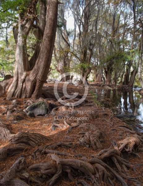 Lunch by the Cascading River