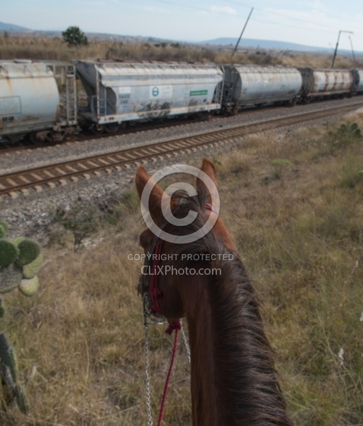 Crossing the Tracks in Mexico