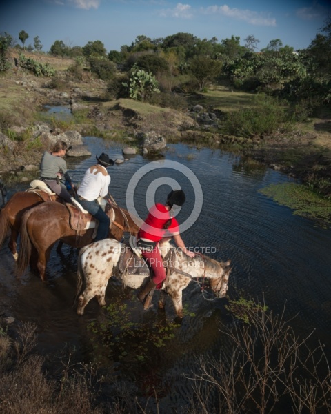 Drinking on the Trail