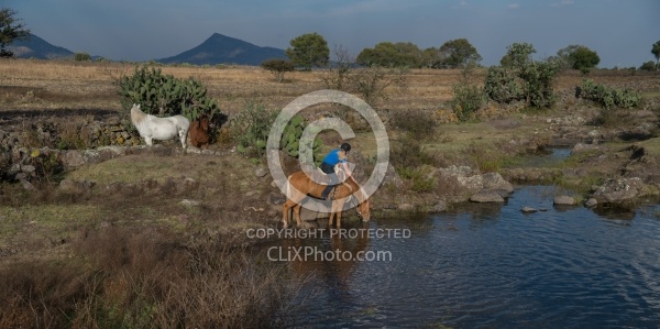 Drinking on the Trail