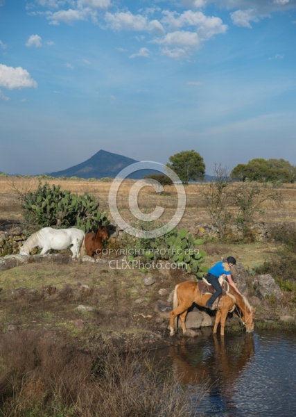 Drinking on the Trail